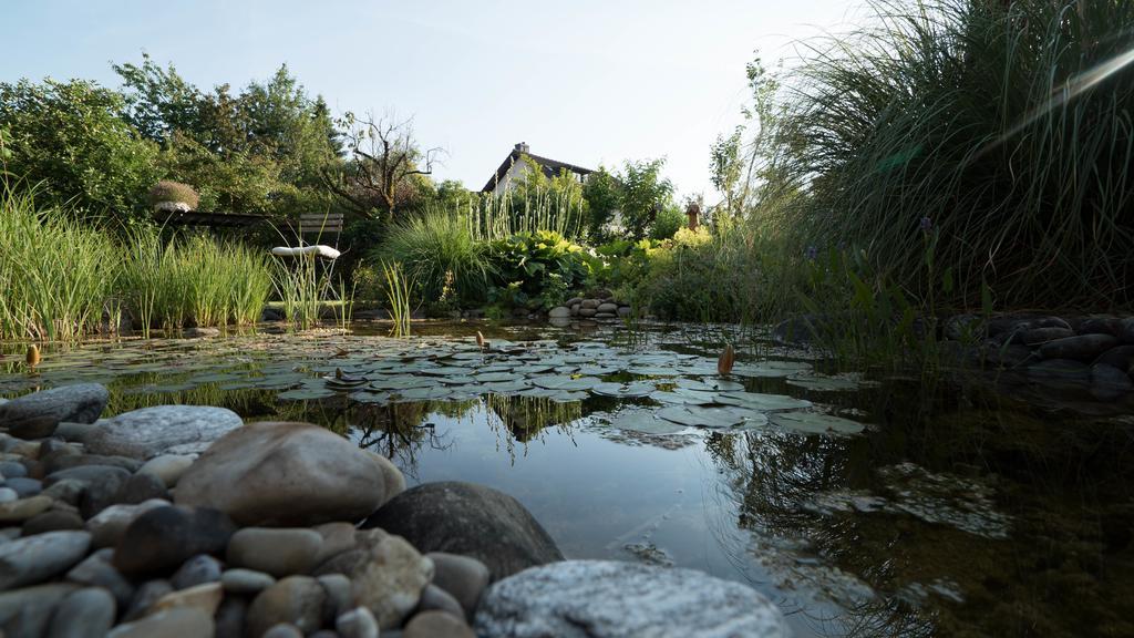 B&B Casa Scaletto Turgi Eksteriør bilde