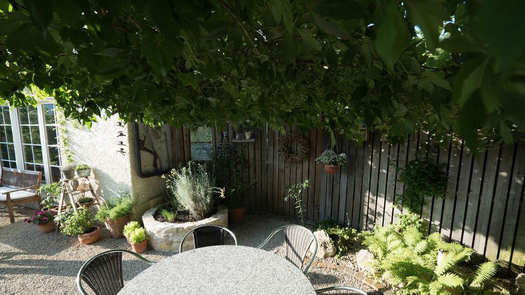 B&B Casa Scaletto Turgi Eksteriør bilde
